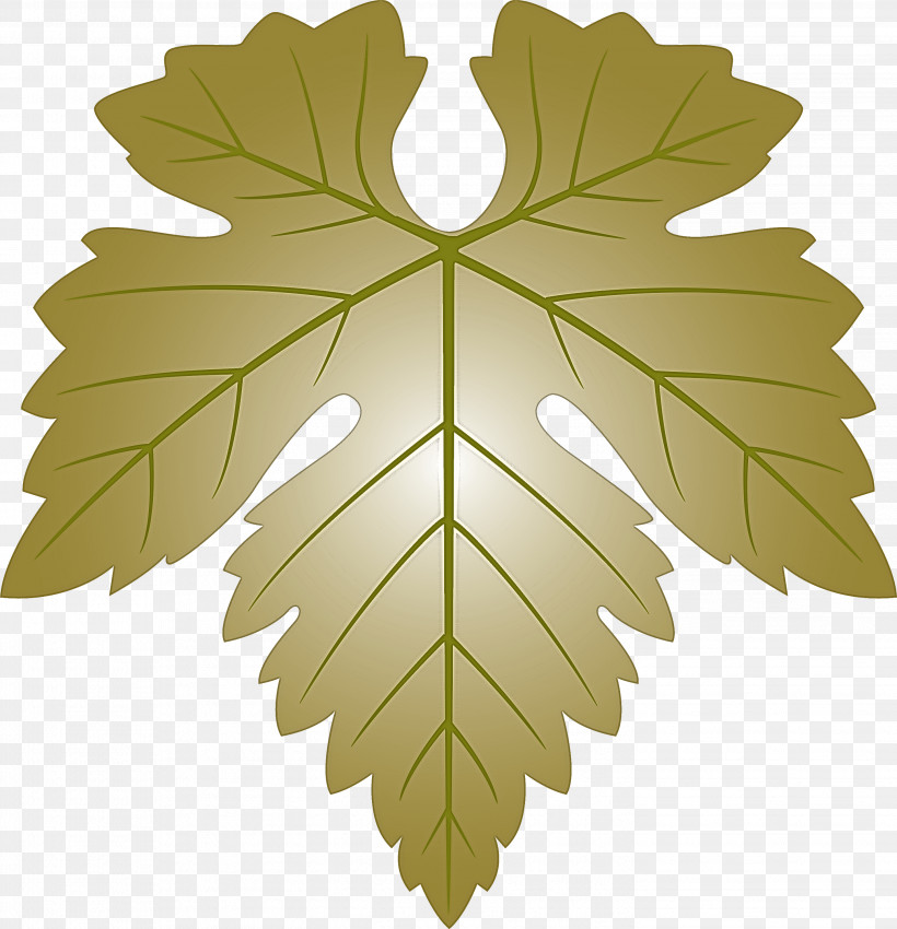 Grapes Leaf Leaf, PNG, 2894x3000px, Grapes Leaf, Black Maple, Flower, Grape Leaves, Leaf Download Free