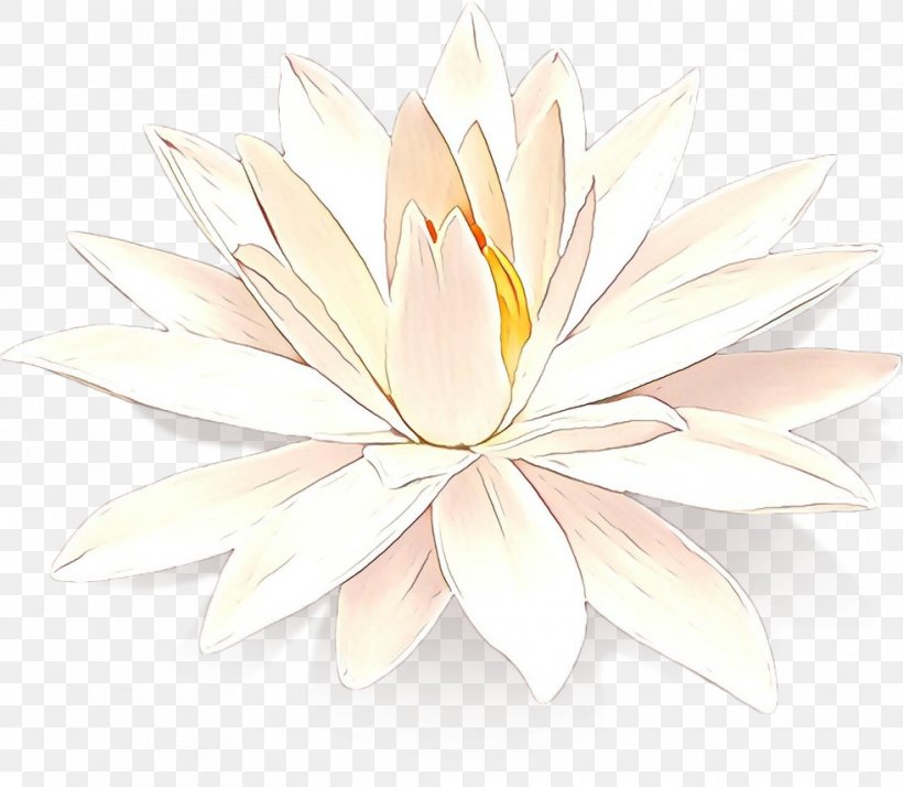 Lotus, PNG, 982x856px, Cartoon, Aquatic Plant, Flower, Lotus, Lotus Family Download Free