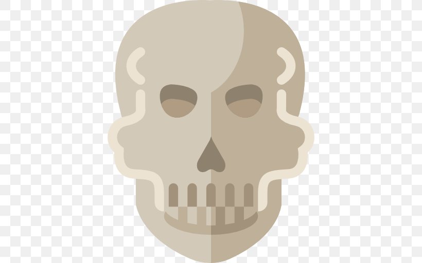 Skull, PNG, 512x512px, Skull, Bone, Head, Jaw, Tooth Download Free