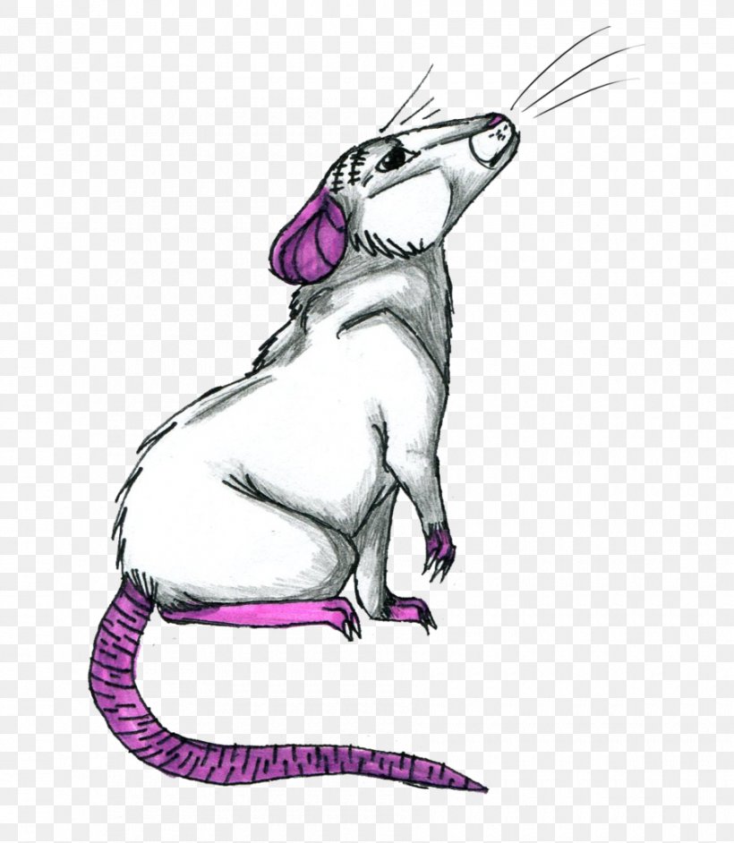 Whiskers Mouse Cat Clip Art, PNG, 900x1034px, Whiskers, Art, Artwork, Carnivoran, Cartoon Download Free