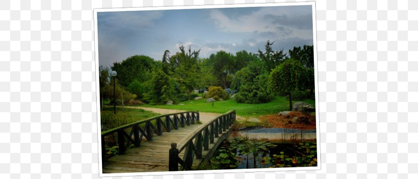 Istanbul Bursa Botanical Park Yalova Botanic Park Parking Lot İzmir, PNG, 800x351px, Istanbul, Bursa, Bursa Province, City, Ecosystem Download Free