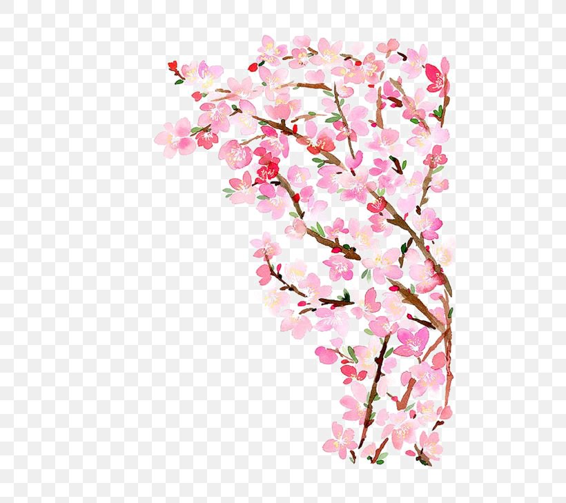 Paper Cherry Blossom Watercolor Painting, PNG, 564x729px, Paper, Art Museum, Blossom, Branch, Cherry Download Free