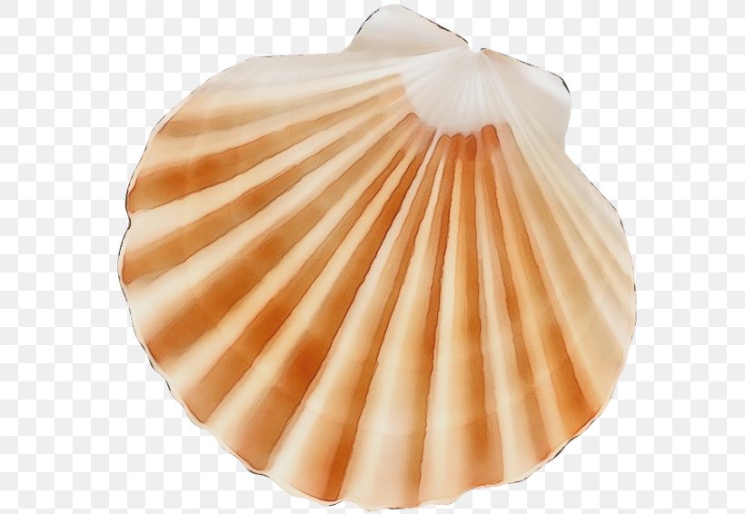 Watercolor Cartoon, PNG, 600x566px, Watercolor, Bivalve, Clam, Cockle, Material Download Free