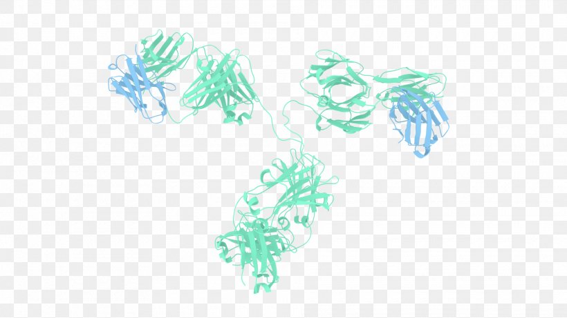 Antibody-drug Conjugate Structure Ribbon Diagram Single-domain Antibody, PNG, 1920x1080px, Antibody, Antibodydrug Conjugate, Aqua, Biochemistry, Biologic Download Free