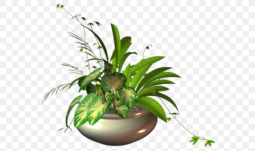 Floral Design CKFS Flowerpot, PNG, 600x488px, Floral Design, Anthurium, Botany, Bromeliaceae, Fern Download Free