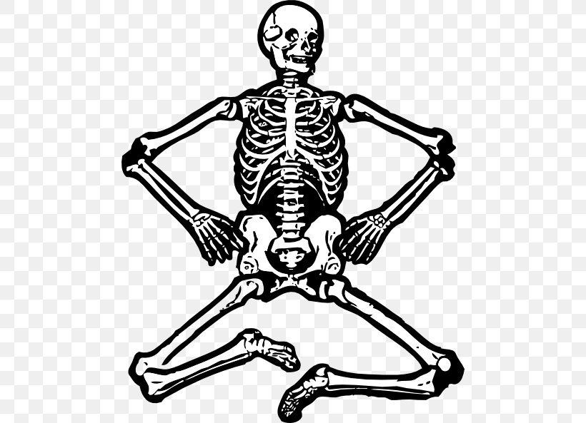 Human Skeleton Skull Clip Art, PNG, 480x593px, Human Skeleton, Art, Black And White, Bone, Halloween Download Free