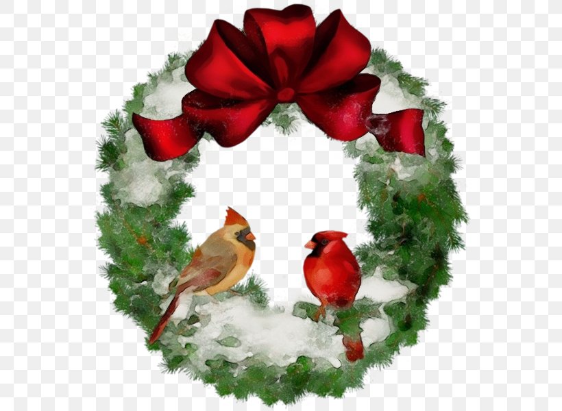 Red Christmas Ornament, PNG, 558x600px, Watercolor, Beak, Bird, Branch, Cardinal Download Free