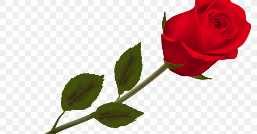 Rose Flower Clip Art, PNG, 1200x630px, Rose, Branch, Bud, Cut Flowers, Floribunda Download Free