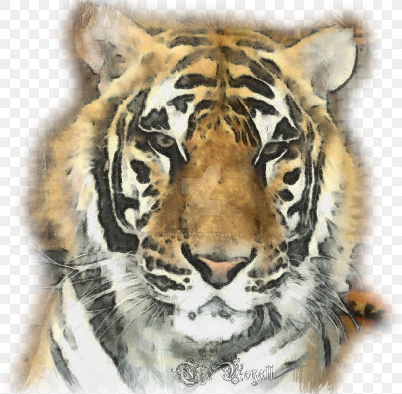 Tiger Whiskers Cat Snout Fur, PNG, 1600x1567px, Tiger, Animal, Big Cat, Big Cats, Carnivoran Download Free