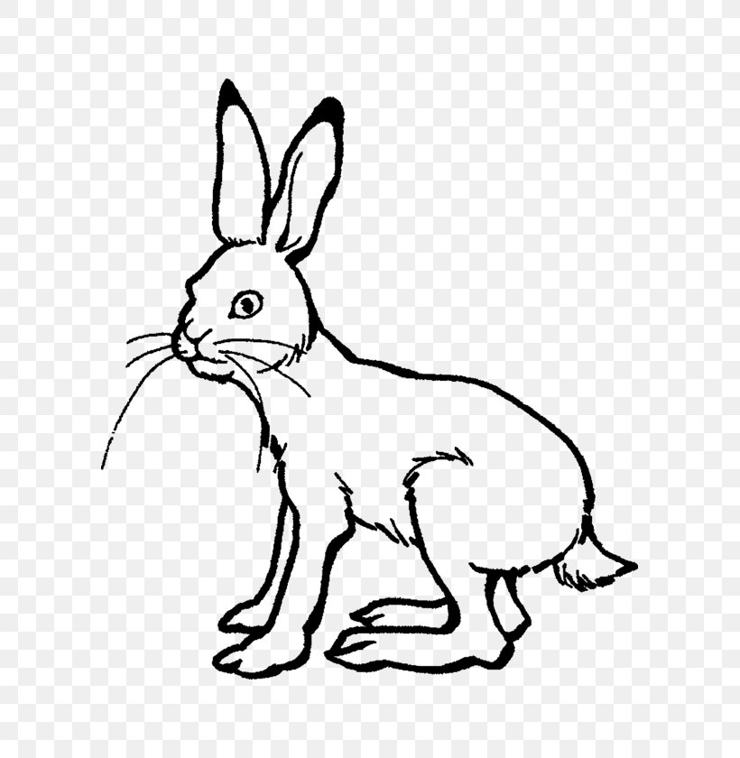 Arctic Hare The Tortoise And The Hare European Hare European Rabbit Drawing, PNG, 595x840px, Arctic Hare, Animal Figure, Ausmalbild, Black And White, Carnivoran Download Free