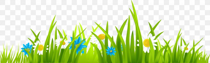Clip Art, PNG, 3400x1035px, Thumbnail, Animation, Commodity, Document, Grass Download Free