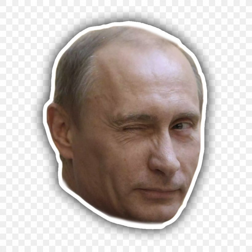 Vladimir Putin President Of Russia Union State United Russia, PNG, 1000x1000px, Vladimir Putin, Chin, Dmitry Medvedev, Dmitry Peskov, Face Download Free