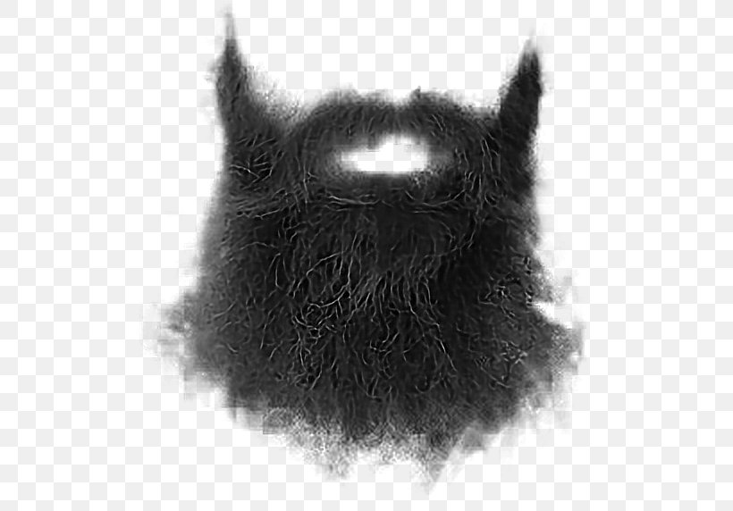 Beard Whiskers Moustache Goatee, PNG, 536x572px, Beard, Black, Black And White, Carnivoran, Cat Download Free