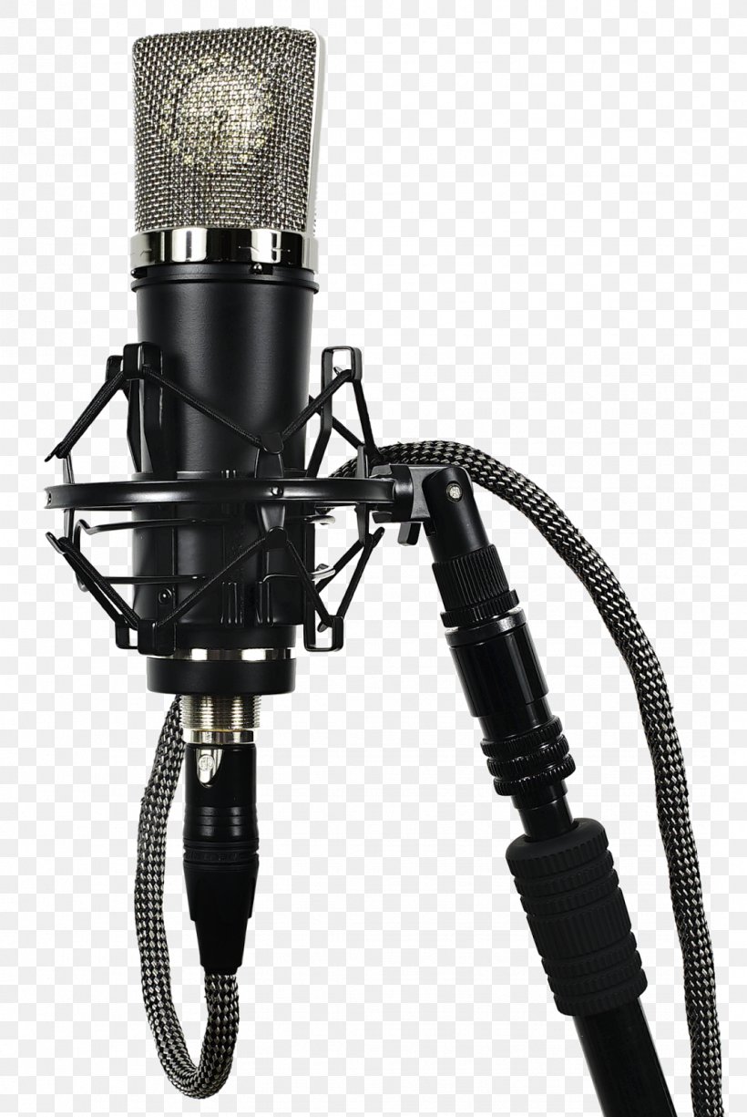 Microphone Lauten Audio Condensatormicrofoon Diaphragm Sound, PNG, 1071x1600px, Watercolor, Cartoon, Flower, Frame, Heart Download Free