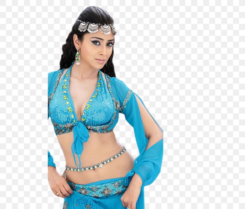 Shriya Saran Sivaji Female Indian People, PNG, 500x700px, Shriya Saran, Abdomen, Actor, Aqua, Belly Dance Download Free