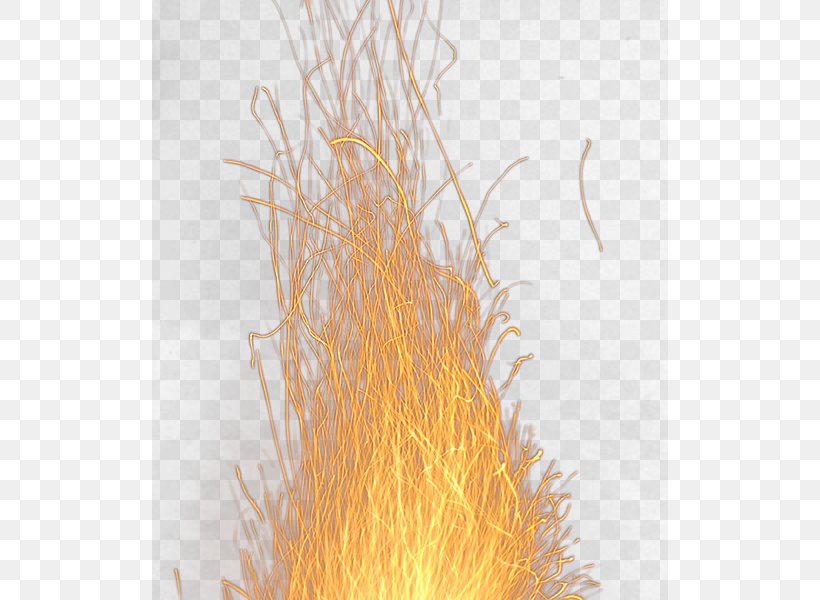 Wood Download, PNG, 516x600px, Wood, Computer, Fire, Flame, Orange Download Free