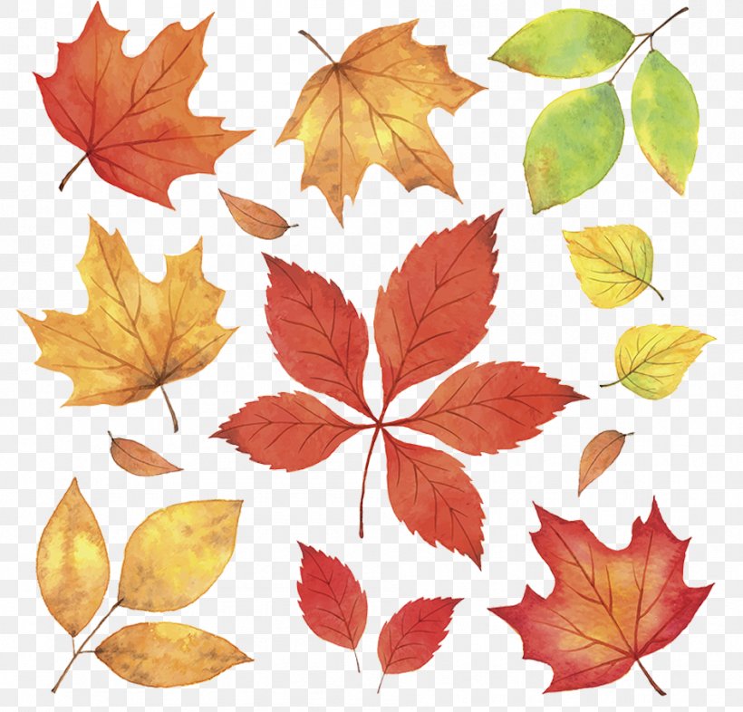 Autumn Leaves Leaf Illustration, PNG, 945x906px, Autumn Leaves, Autumn, Deciduous, Drawing, Flowering Plant Download Free
