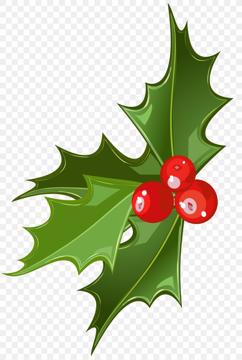 Christmas Mistletoe Common Holly Clip Art, PNG, 2324x3461px, Candy Cane, Aquifoliaceae, Aquifoliales, Christmas, Christmas Ornament Download Free