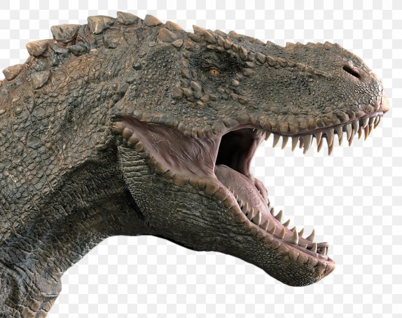 Tyrannosaurus Spinosaurus Dinosaur New Mexico Museum Of Natural History And Science Reptile, PNG, 909x720px, Tyrannosaurus, Crocodile, Dinosaur, Henry Fairfield Osborn, Jaw Download Free