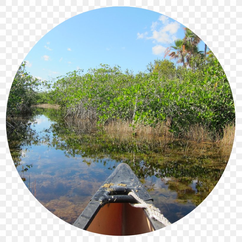 Wetland Pond Reservoir River Waterway, PNG, 1142x1142px, Wetland, Bank, Bayou, Forest, Inlet Download Free