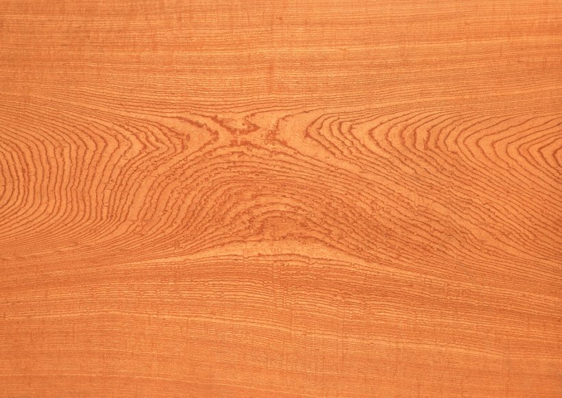 Wood Flooring Wood Stain Varnish Plywood, PNG, 1264x897px, Wood Flooring, Floor, Flooring, Hardwood, Laminaat Download Free