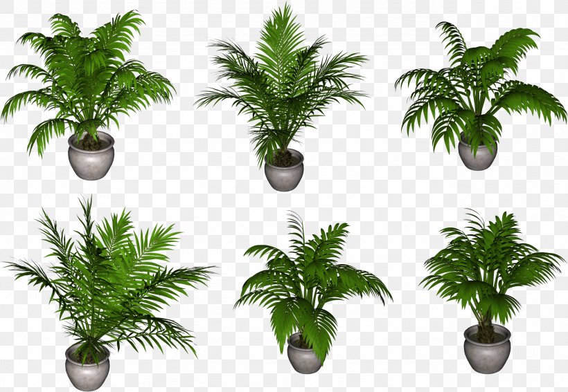 Arecaceae Flowerpot Plant Clip Art, PNG, 2566x1775px, Arecaceae, Arecales, Digital Image, Equisetum, Evergreen Download Free