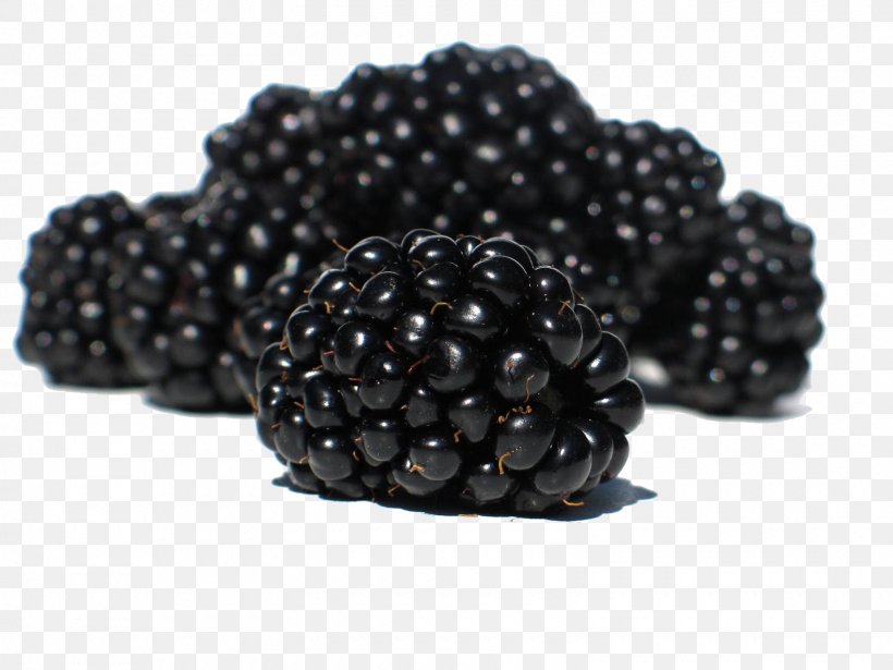 Blackberry Fruit Rubus Raspberry, PNG, 1600x1200px, Blackberry, Berry, Boysenberry, Cobbler, Dewberry Download Free