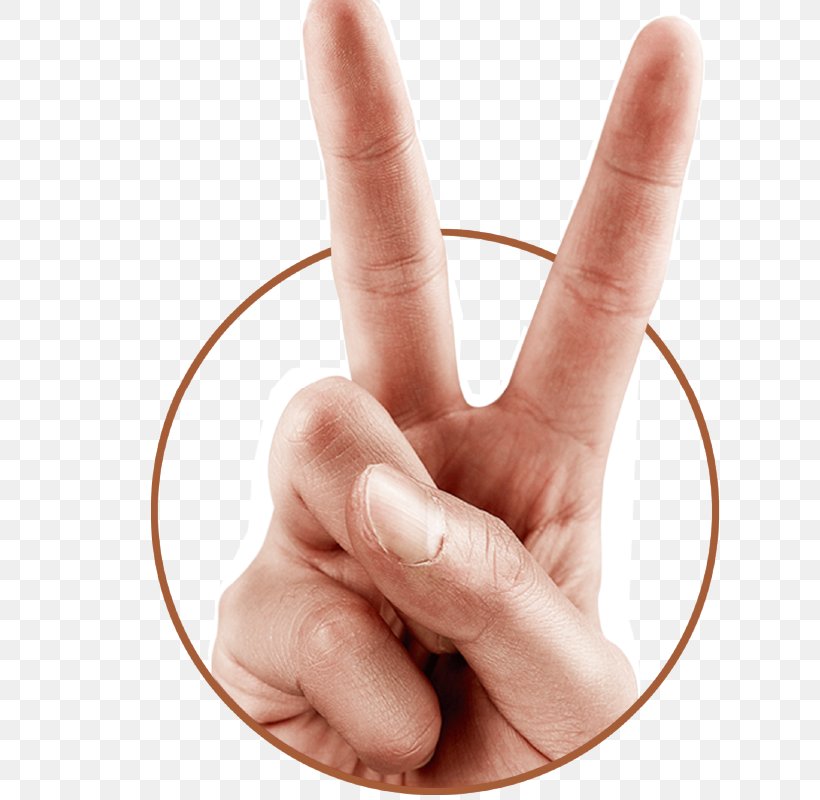 Gesture OK, PNG, 800x800px, Gesture, Finger, Hand, Hand Model, Handwriting Download Free