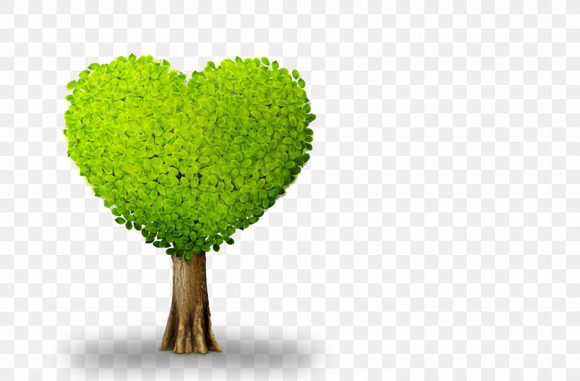 Plant Tree Heart, PNG, 3500x2300px, Tree, Flowerpot, Grass, Green, Heart Download Free