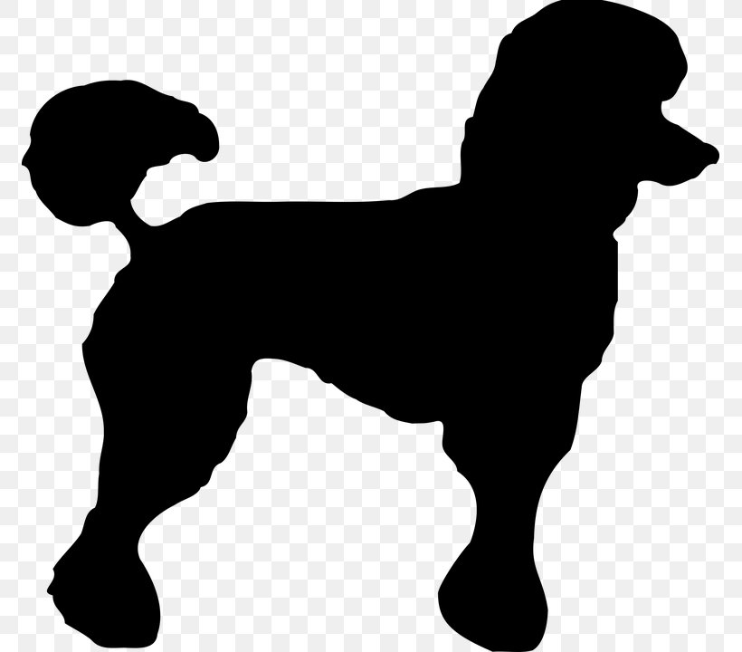 Poodle Puppy Border Collie Village Groomer Clip Art, PNG, 771x720px, Poodle, Animal, Black, Black And White, Border Collie Download Free