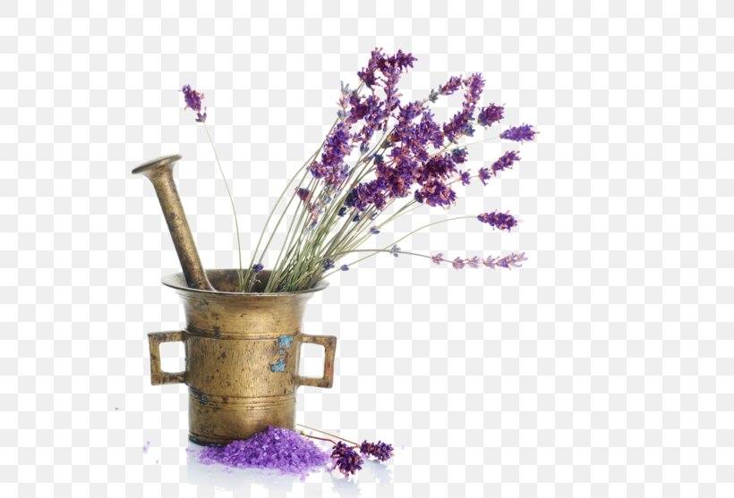 Thai Foot Spa English Lavender Lavender Oil Cream Anesthetic, PNG, 600x557px, English Lavender, Acne, Anesthetic, Artificial Flower, Baby Shampoo Download Free