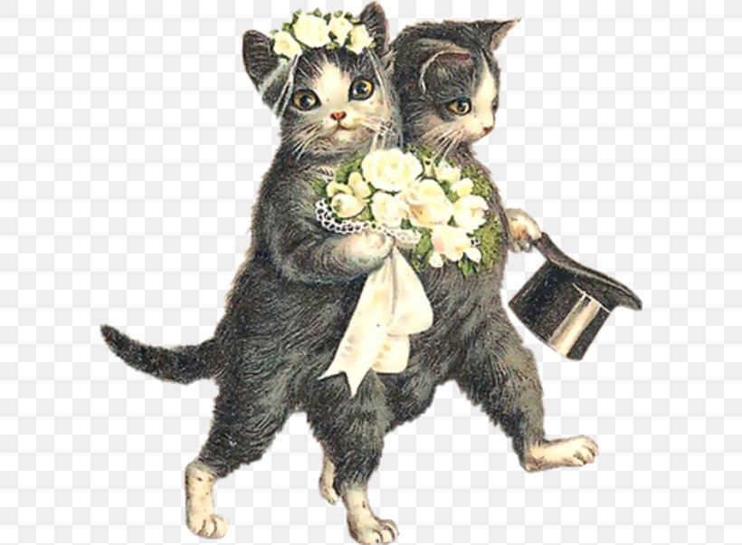 Wedding Invitation Norwegian Forest Cat Kitten Save The Date, PNG, 600x602px, Wedding Invitation, Black Cat, Bride, Bridegroom, Bridesmaid Download Free