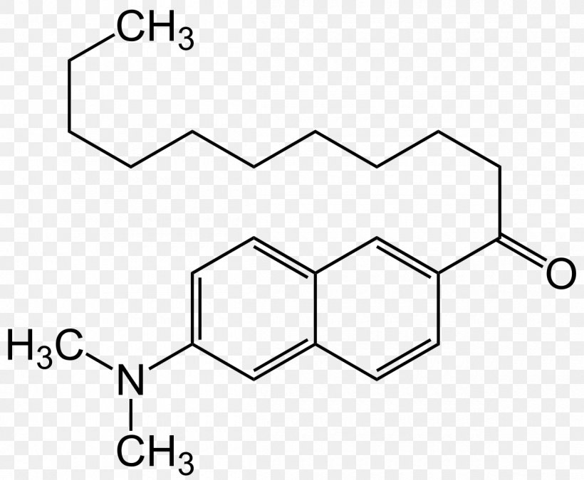 Alkaloid Chemical Compound Molecule Erythroxylum Coca Pyrrolidine, PNG, 1200x988px, Watercolor, Cartoon, Flower, Frame, Heart Download Free