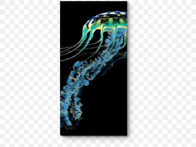 Lion's Mane Jellyfish General Zoology: Investigating The Animal World Marine Life, PNG, 1400x1050px, Jellyfish, Animal, Aqua, Aurelia Aurita, Biology Download Free