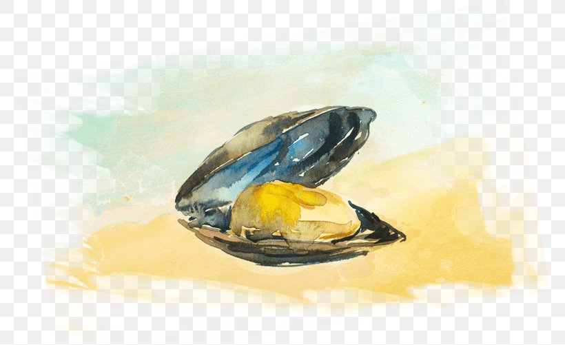 Mussel Clam Seafood Oyster Carpaccio, PNG, 776x501px, Mussel, Beef, Carpaccio, Clam, Clams Oysters Mussels And Scallops Download Free