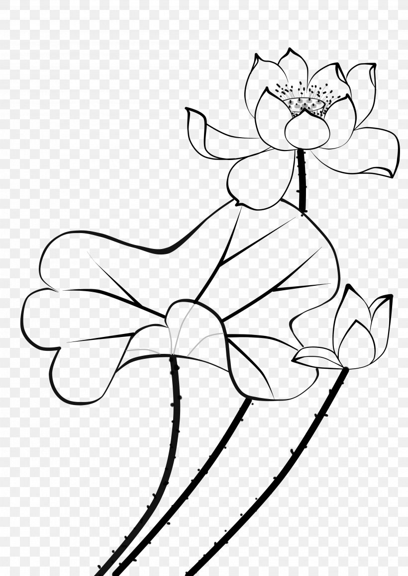Nelumbo Nucifera Water Lilies Flower Stroke Petal, PNG, 3507x4960px, Nelumbo Nucifera, Aquatic Plant, Art, Artwork, Black Download Free