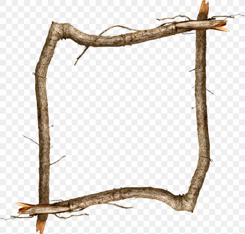 Picture Frames Branch, PNG, 2532x2422px, Picture Frames, Branch, Brown, Fauna, Liveinternet Download Free