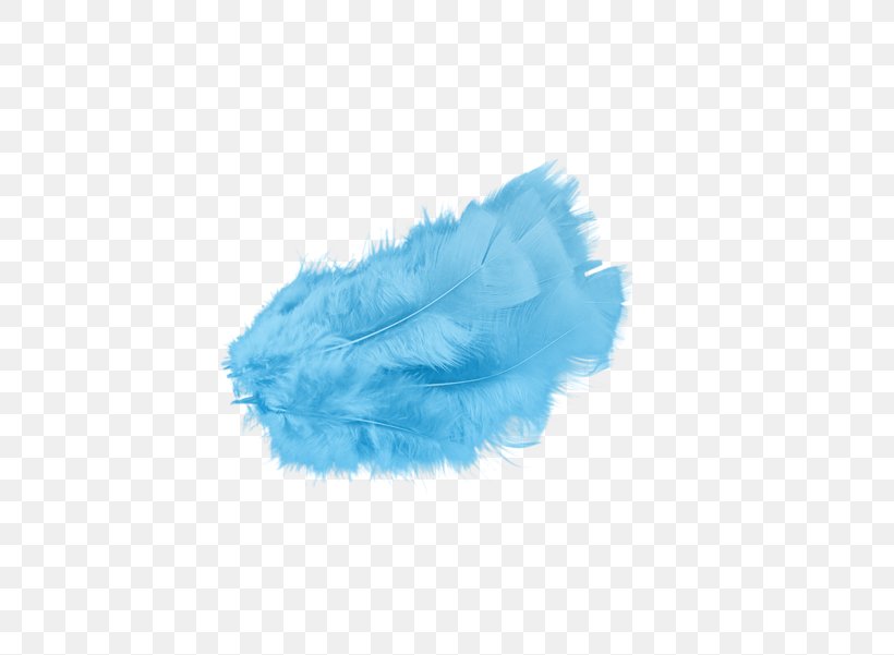 Feather Boa Plume Sticker PicsArt Photo Studio, PNG, 800x601px, Feather, Aqua, Azure, Blue, Christmas Download Free