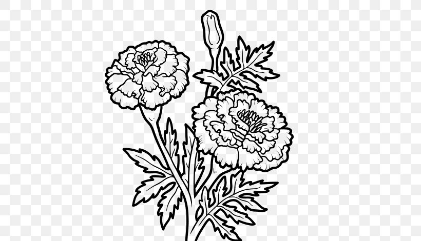 Mexican Marigold Drawing, PNG, 600x470px, Mexican Marigold, Art, Artwork, Black And White, Calendula Officinalis Download Free