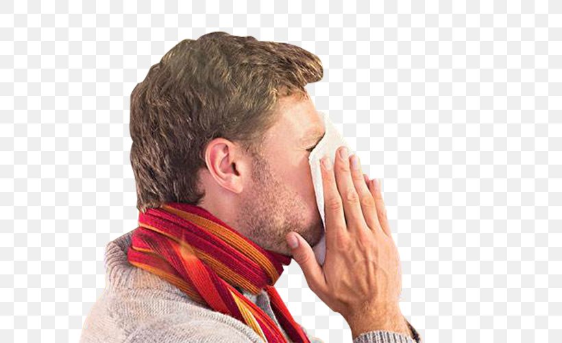 Nose-blowing Sneeze Caccola Common Cold, PNG, 624x500px, Nose, Caccola, Chin, Common Cold, Disease Download Free
