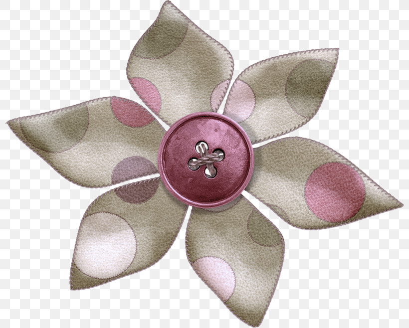 Petal Flower, PNG, 800x658px, Petal, Flower Download Free