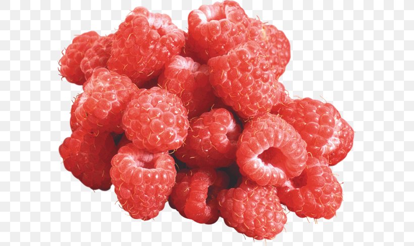 Raspberry Fudge Caramelized Peanut, PNG, 591x488px, Raspberry, Berry, Cake, Candy, Caramelized Peanut Download Free