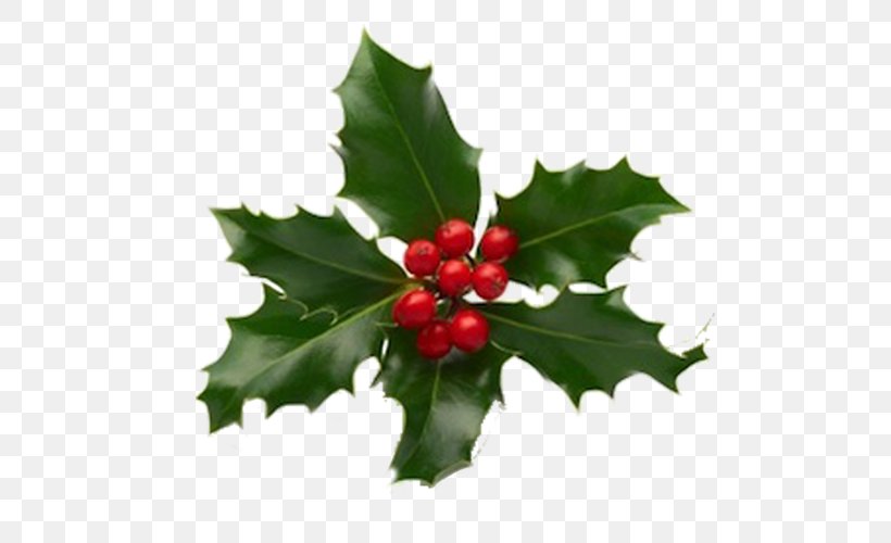 Christmas And Holiday Season Christmas And Holiday Season Christmas Decoration Christmas Card, PNG, 500x500px, Christmas, Advent, Advent Calendars, Aquifoliaceae, Aquifoliales Download Free
