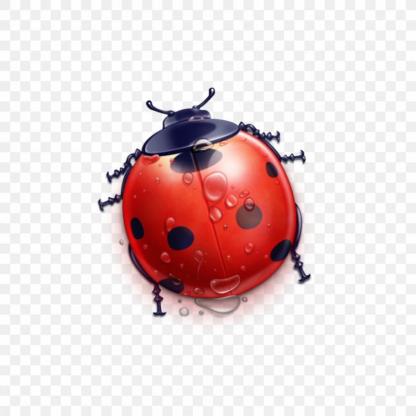 Ladybug, PNG, 900x900px, Computer Graphics, Beetle, Chart, Insect, Invertebrate Download Free
