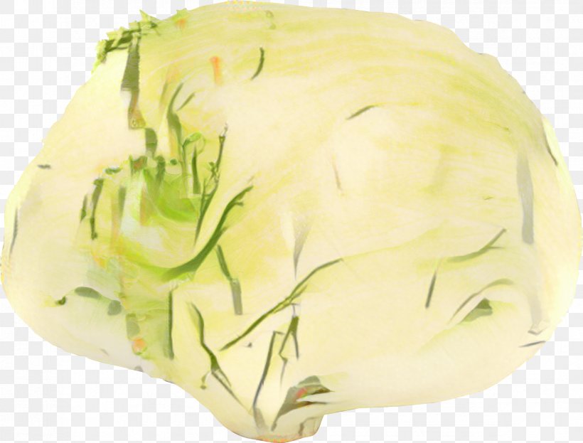 Vegetables Cartoon, PNG, 2347x1785px, Cabbage, Flower, Food, Greens, Iceburg Lettuce Download Free