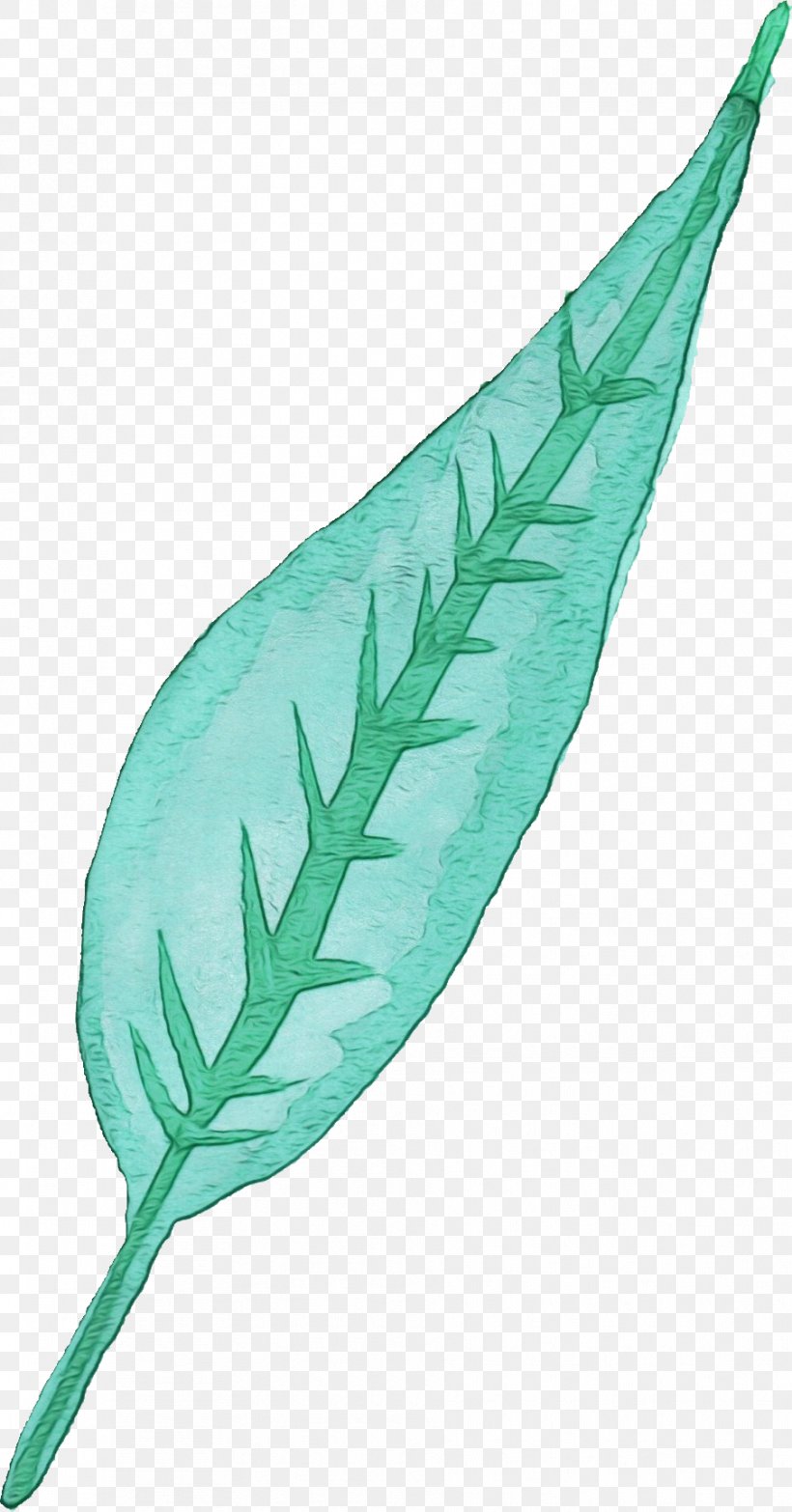Feather, PNG, 905x1729px, Watercolor, Feather, Fern, Flower, Leaf Download Free