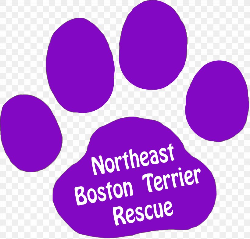 Northeast Boston Terrier Rescue Brand, PNG, 4472x4280px, Boston Terrier, Area, Boston, Brand, Celtic Knot Download Free