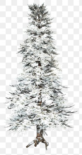 Snow Tree Winter Pine, Png, 939x1574px, Snow, Christmas, Christmas 