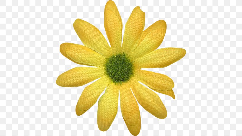 Yellow Child Orange S.A. Var, PNG, 442x461px, Yellow, Bedroom, Child, Daisy Family, Flower Download Free
