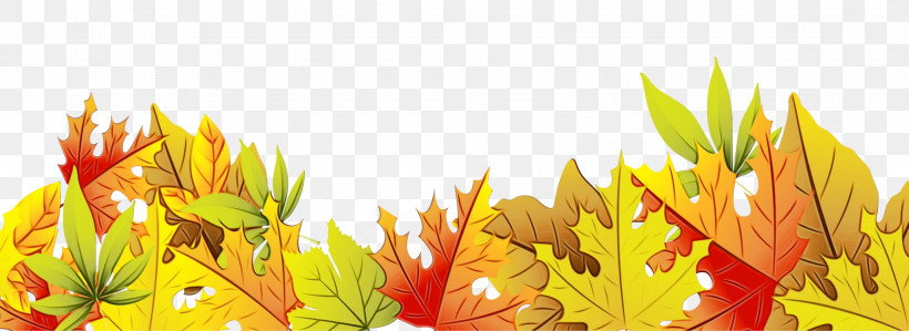 Maple Leaf, PNG, 2048x749px, Watercolor, Autumn, Deciduous, Flower, Leaf Download Free